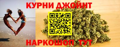 сатива Бузулук