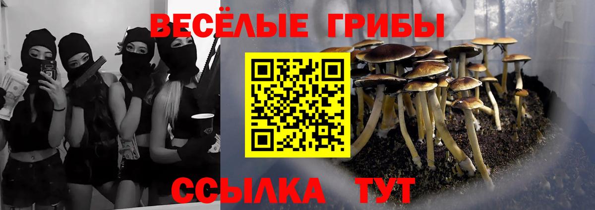 Сарапул  Псилоцибиновые грибы MAGIC MUSHROOMS  Вход с VPN 
